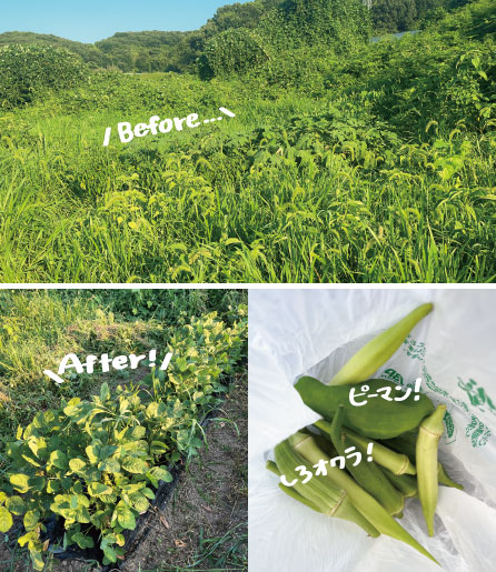 草抜き